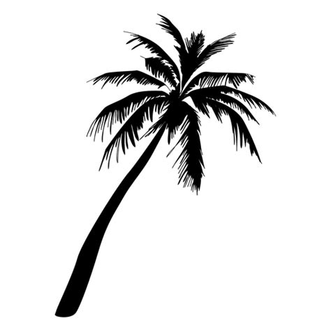 We did not find results for: Palm palm tree silhouette - Transparent PNG/SVG