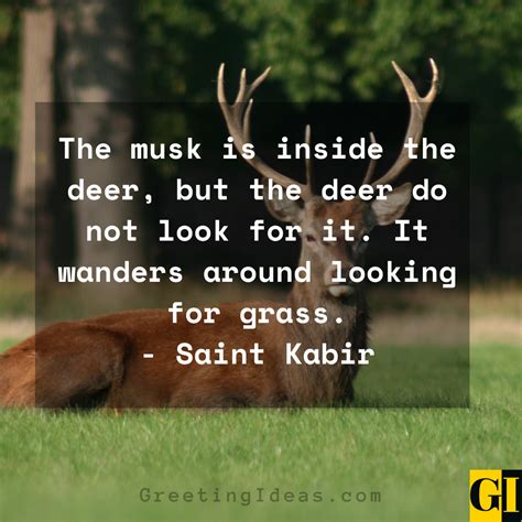 15 Wise And Inspiring Deer Quotes And Sayings