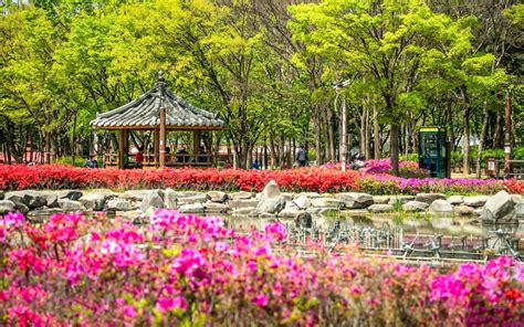 Cheonho Park The Seoul Guide
