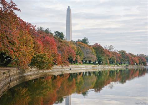 Comparing The Seasons Fall Color At The Tidal Basin Photos The