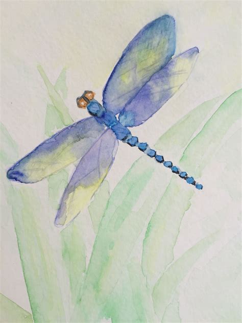 Watercolor Dragonfly By Marjie Davis Feb 2015 Dragonfly Artwork