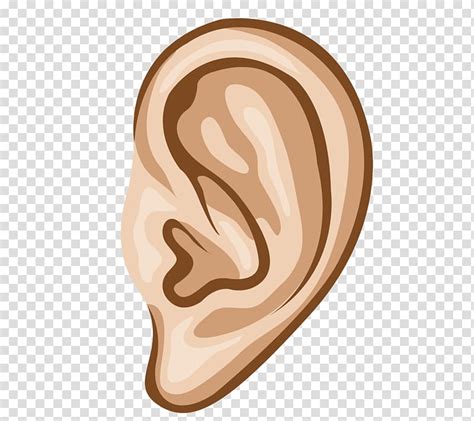 Cartoon Human Ear