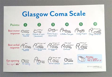 The glasgow coma scale is just a number! GCS Poster (11x17") | Nursing school notes, Nursing study guide, Nursing notes