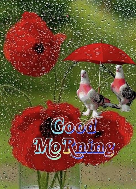 Rainy Good Morning Good Morning Gif Rainy Day Good Morning Posters