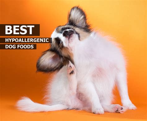 Get it saturday, nov 28. Best Hypoallergenic Dog Foods - Top 5 Choices ...