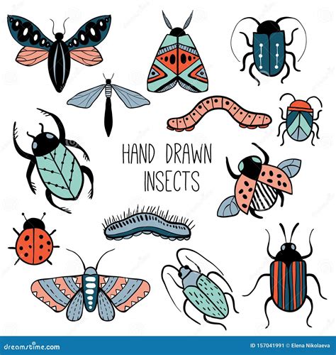 Set Of Colorful Hand Drawn Insects Stock Vector Illustration Of