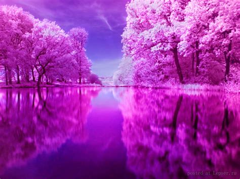 Clouds Lake Pink Reflection Nature Other Hd Desktop