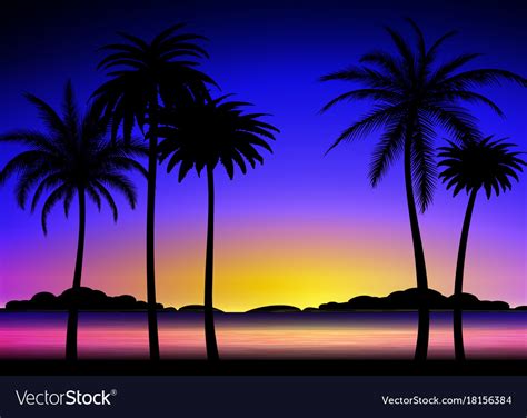 Summer Beach Night Palm Silhouettes On Stock Vector My Xxx Hot Girl