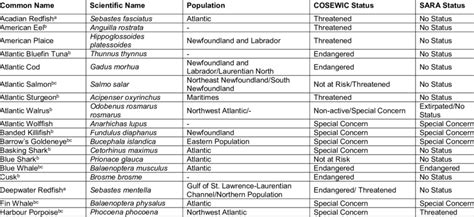 List Of Species At Risk Considered For Pbgb Area Ebsa Identification