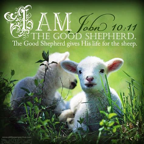 Bible Verses About Animals Animalghi