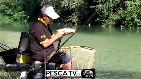 Pescare Col Pasturatore Sul Metauro Youtube