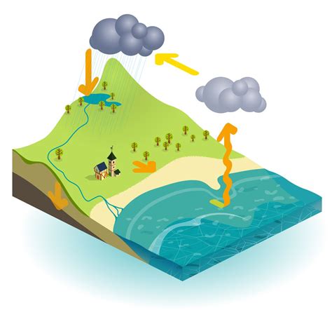 The movement of water around our planet is vital to life as it 'i'm not on social media but just wanted to reach out and say i have been recommending you to everyone i know, with kids of course! What is the water cycle? | TheSchoolRun
