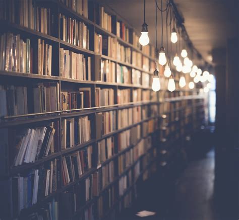 Best 500 Library Pictures Hd Download Free Images On Unsplash