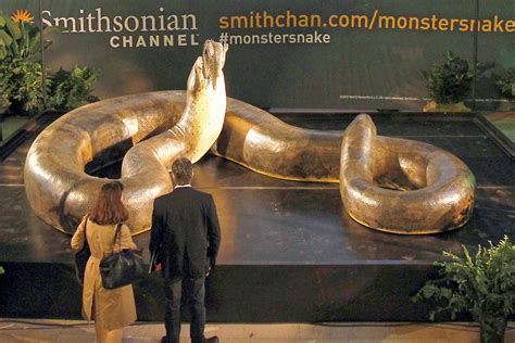Giant Anacondas And Other Super Sized Cryptozoological Snakes Where