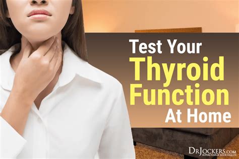 How To Test Your Thyroid Function At Home