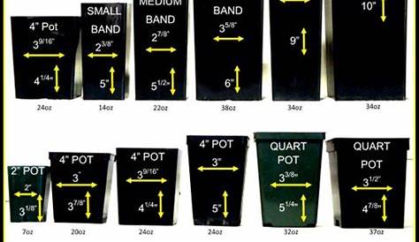 Standard Plant Container Size Chart / This is an excellent size to create hanging baskets