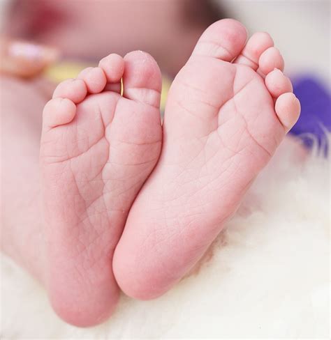 Child Childrens Feet Offspring Free Photo On Pixabay Pixabay
