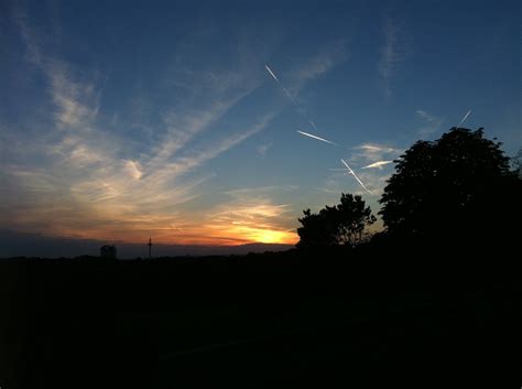 Free Images Landscape Tree Nature Horizon Branch Light Cloud