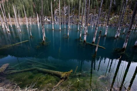 Sunken Forest Of Lake Kaindy · Kazakhstan Travel And Tourism Blog