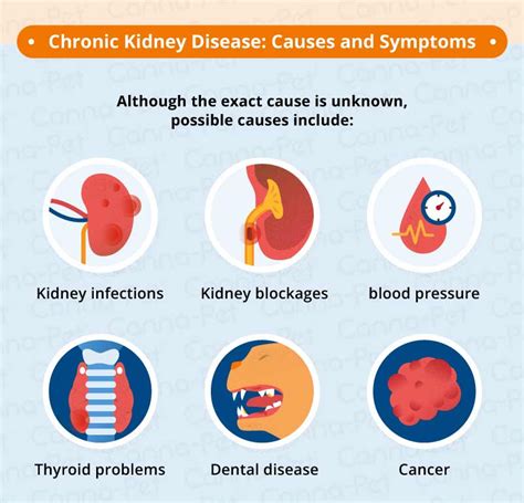 A history of chronic symptoms — fatigue, weight. Signs and symptoms of kidney disease > MISHKANET.COM