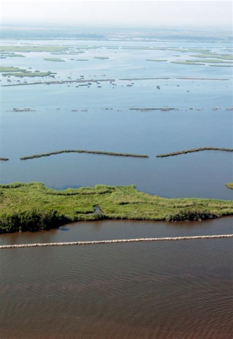 Louisiana Ecological Services Coastal Restoration Us Fish