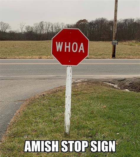 Mean While In Pennsylvania Rfunnysigns