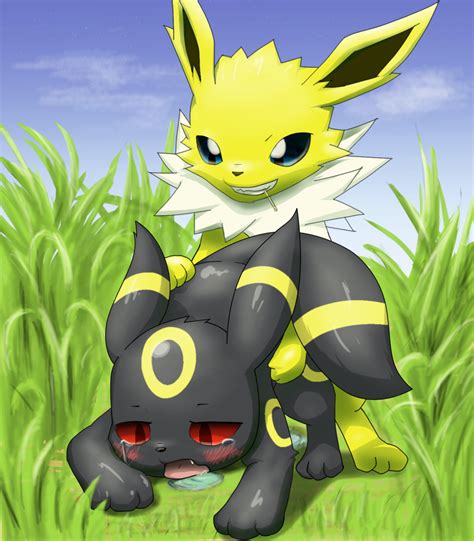 1552557 Cormorants J Jolteon Porkyman Umbreon Pokémon