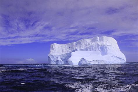 Antarctica Iceberg The Green Dandelion