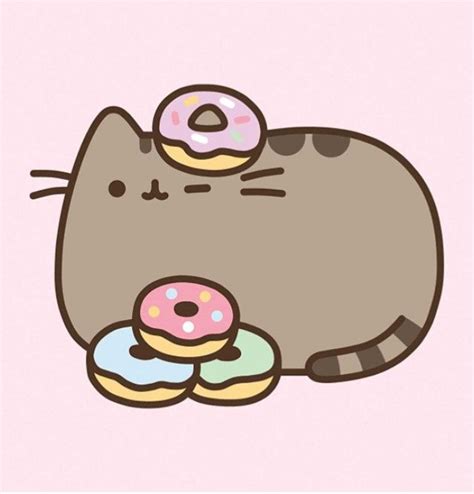 A Cat That Is Laying Down With Donuts