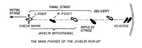 Biomechanics Of A Javelin Throw Optimal Javelin Flight