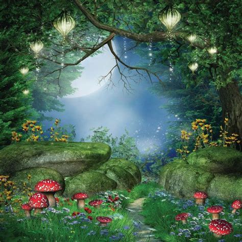 Enchanted Forest Backdrop Forest Backdrops Fairies Photos