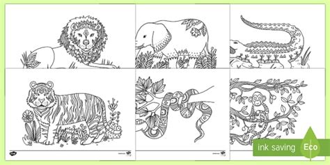 Select print at the top of the page, and the advertising and navigation at the top of the page will be ignored, or 2) click on the. Jungle Animals Mindfulness Colouring Pages - KS1 Resources