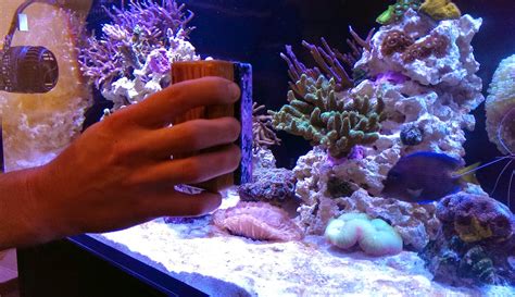 7 Cool Tools To Clean Your Dirty Reef Tank Marine Depot Blog