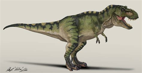 Jurassic Park T Rex Male By Nikorex On Deviantart