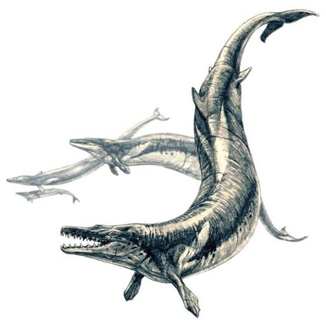 Top 10 Terrifying Prehistoric Sea Monsters Sea Monsters Giant