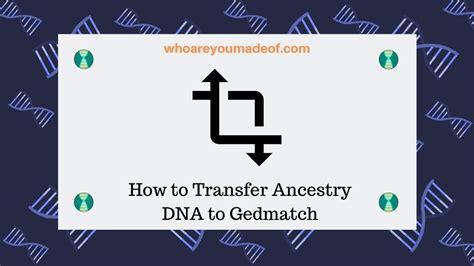 How to Transfer Ancestry DNA to Gedmatch - Who are You Made Of?