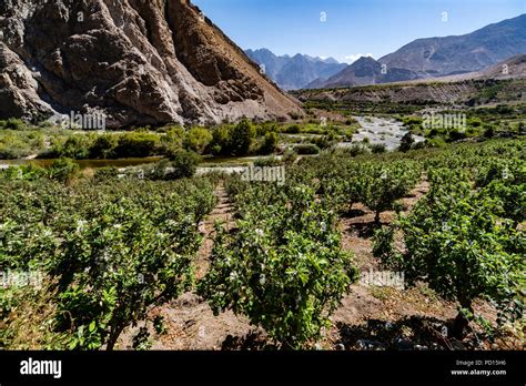 Valley Of The Cañete River In The Department Of Lima Peru Stock Photo