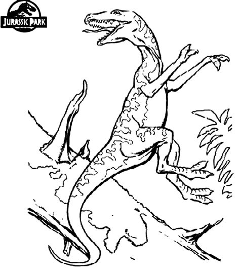 Dinosaur And Volcano Coloring Pages Clip Art Library