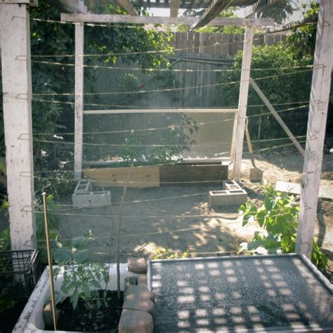 The Ambitious Seed Diy String Trellis