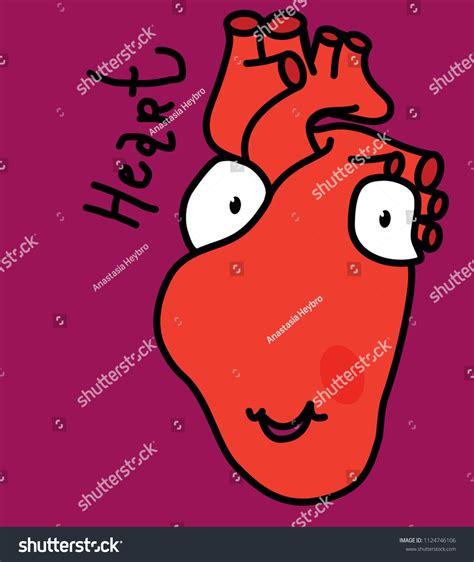 Anatomical Heart Isolated Heart Diagnostic Center Stock Vector Royalty