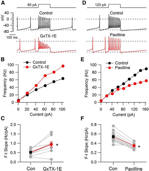Differential Regulation Of Action Potential Shape And Burst Frequency Firing By Bk And Kv2