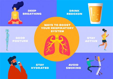 Different Ways To Boost Your Respiratory System Sistema Respiratorio