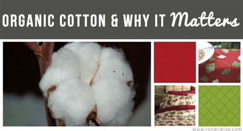Organic Cotton And Why It Matters