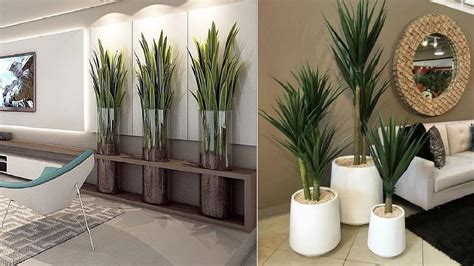 Indoor House Plants Interior Design Ideas