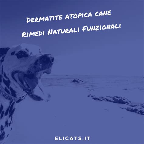 Dermatite Atopica Cane Cure Naturali Funzionali Efficaci Elicats It