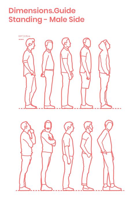 Standing Male Side Human Sketch Human Figure Drawing Poses