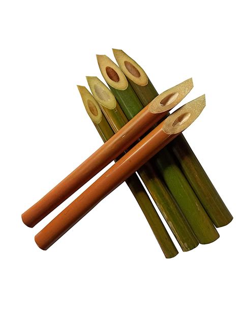 Asad Bamboo Calligraphy Pen Set Pack Of 6 Pens Office Products