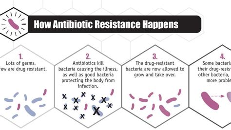 Antibiotic Awareness Week What You Should Know About Antibiotic