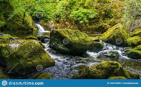 Stream Or Creek Flowing Between Mossy Rocks Water Autumn Ireland