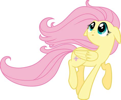 Mlp Fluttershy Vector 5 By Mlpvectors203 On Deviantart